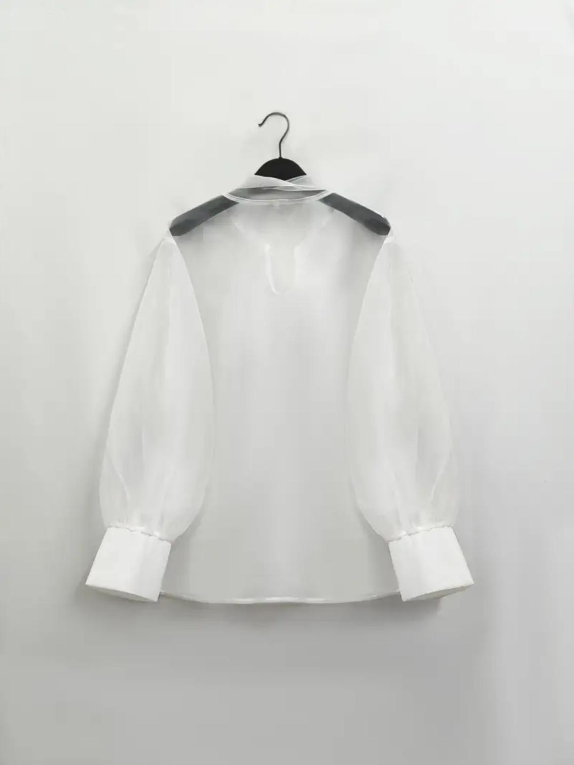 White Plus Size Sheer Tie-Neck Blouse with Brooch