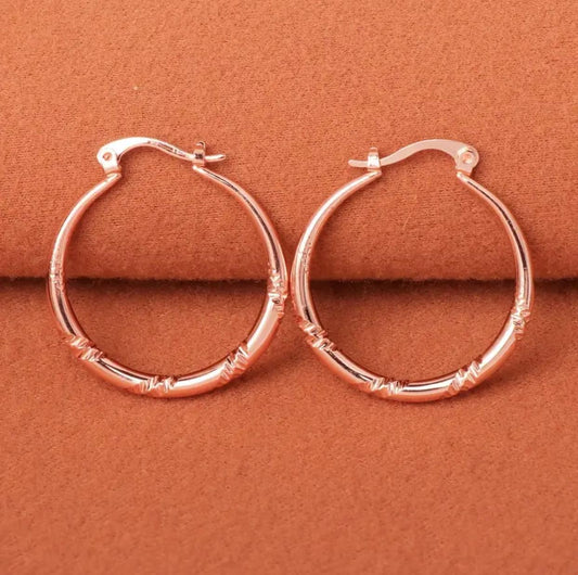 Elegant Rose Gold Hoop Earrings