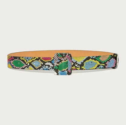 Multicolor Snake Pattern Square Buckle Belt